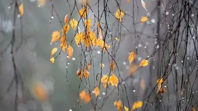 Zakon.kz, фото - Новости Zakon.kz от 30.10.2017 06:00