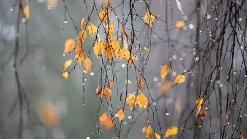 В понедельник на большей части Казахстана пройдут осадки