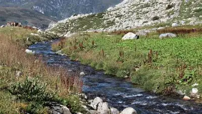 pixabay.com, фото - Новости Zakon.kz от 19.07.2021 21:04