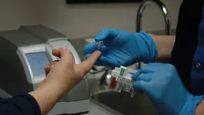 pxhere.com, фото - Новости Zakon.kz от 08.04.2020 21:16