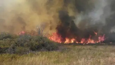 Zakon.kz, фото - Новости Zakon.kz от 03.05.2017 23:26