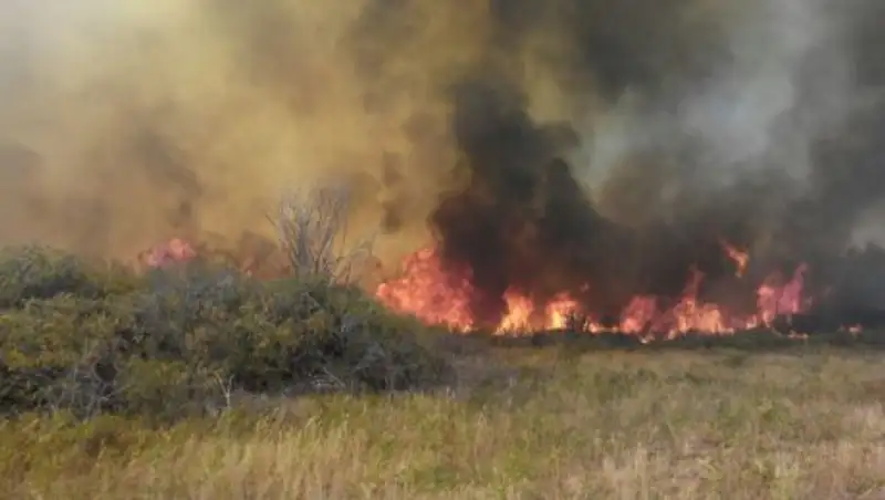 Орал қаласы төңірегінде 40 га жер өртенді 