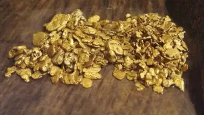 Zakon.kz, фото - Новости Zakon.kz от 03.04.2016 04:37