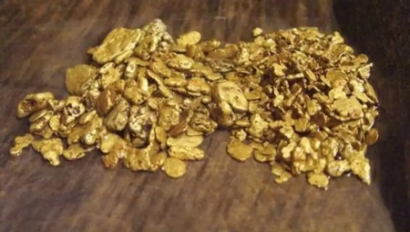 В Акмолинской области выявили подпольный цех по переработке золотосодержащей руды