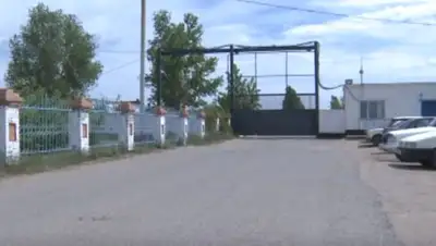 Скриншот с видео, фото - Новости Zakon.kz от 06.06.2018 23:05