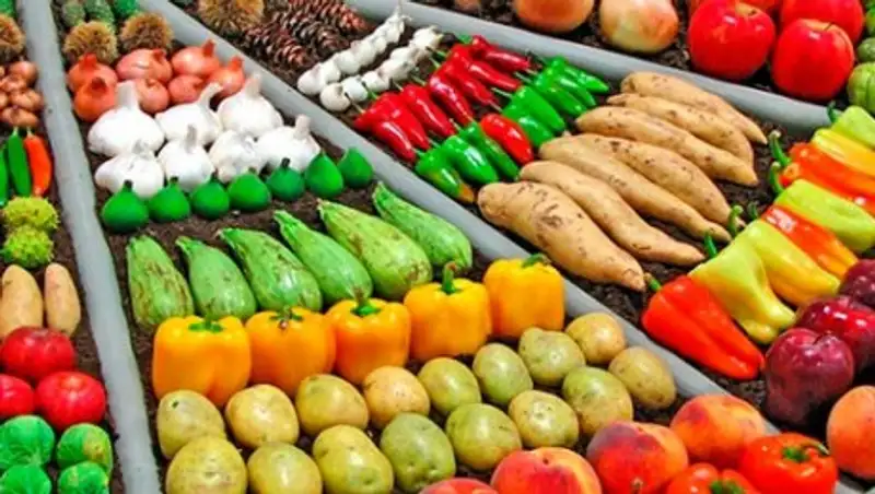 Более 700 тонн продукции привезут сельхозпроизводители СКО на ярмарку в Астану