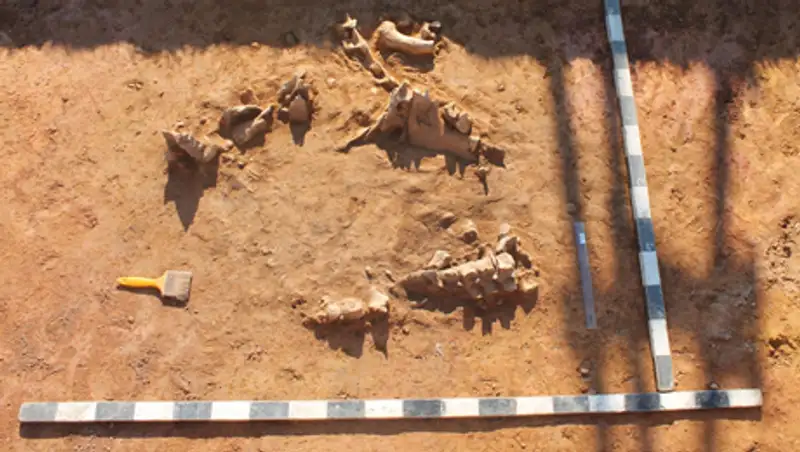 В Северном Казахстане археологи нашли оружие IV-III тыс. до н.э.