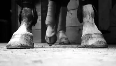 Zakon.kz, фото - Новости Zakon.kz от 03.12.2015 18:27