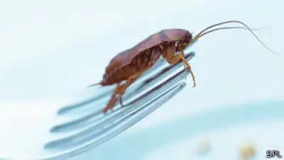 Zakon.kz, фото - Новости Zakon.kz от 10.11.2013 20:24