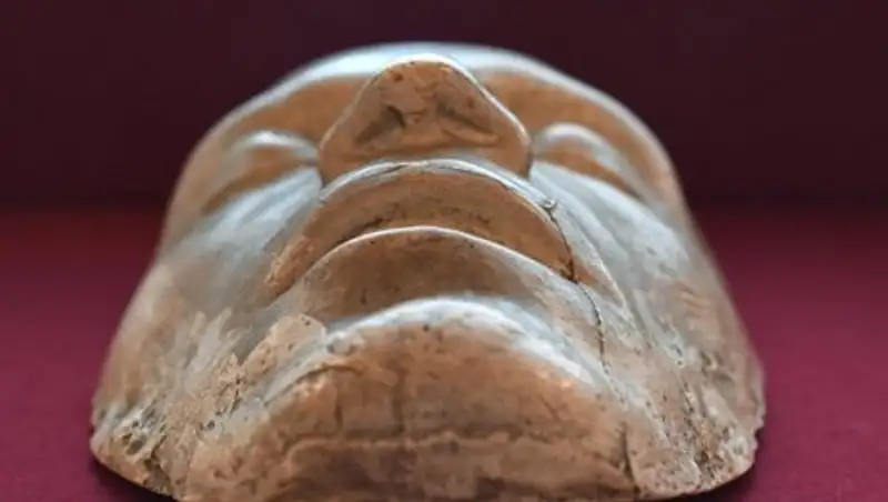 В Рунете продают посмертную маску Пушкина