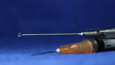 Pixabay, фото - Новости Zakon.kz от 13.05.2020 16:27