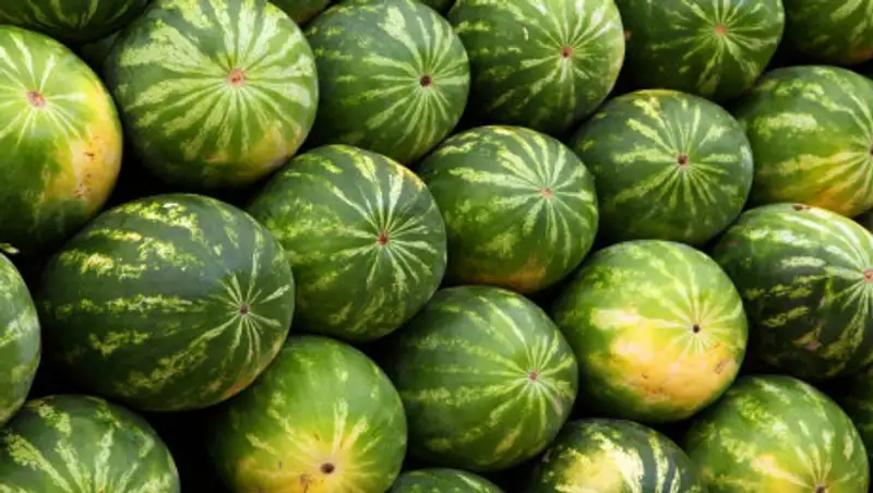 Мужчина в наказание за воровство заставил детей есть неспелые арбузы