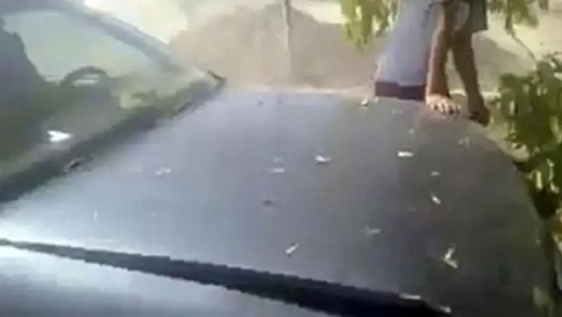 Шымкентские подростки, развлекаясь за рулем, совершили ДТП