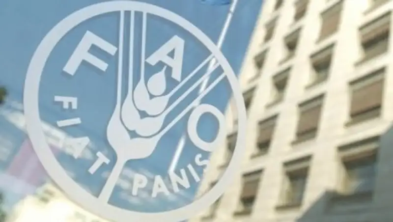 Парламент РК ратифицировал соглашение с ФАО об открытии Бюро организации в Астане и Алматы