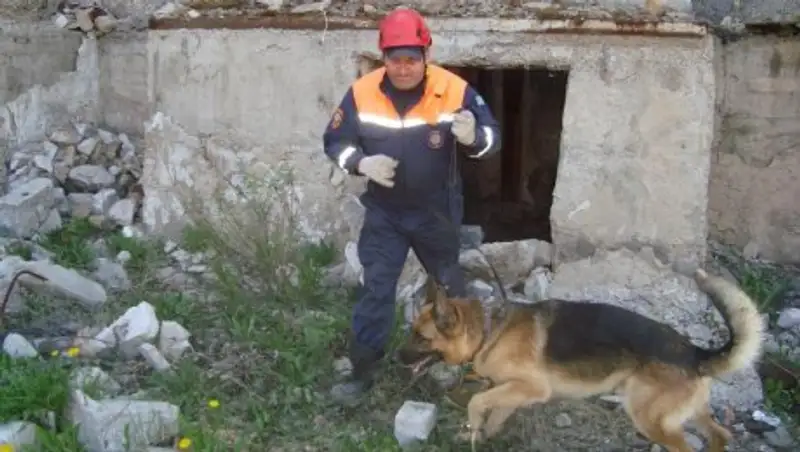 Спасатели-кинологи готовятся к обеспечению безопасности ЭКСПО-2017