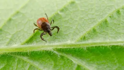 Zakon.kz, фото - Новости Zakon.kz от 04.05.2016 23:10