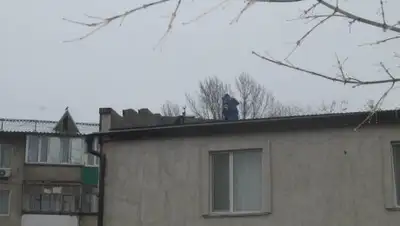 Zakon.kz, фото - Новости Zakon.kz от 14.11.2017 16:46