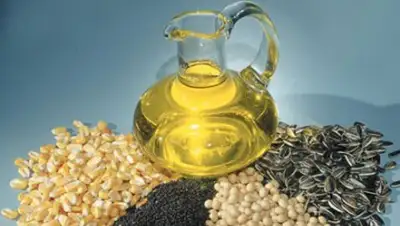 Zakon.kz, фото - Новости Zakon.kz от 08.04.2014 23:12