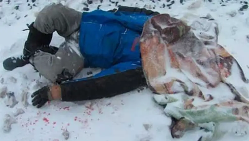 Мужчина погиб под пассажирским поездом в Капчагае