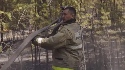 Лесной пожар в Абайской области локализован, фото - Новости Zakon.kz от 14.06.2023 22:00
