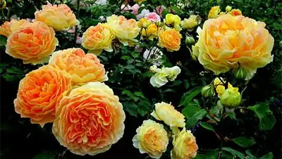 Zakon.kz, фото - Новости Zakon.kz от 17.04.2014 20:25