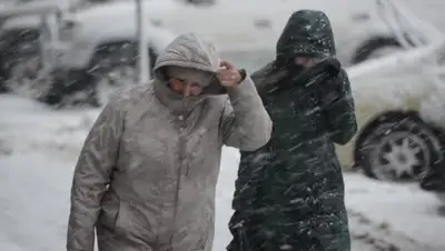 Zakon.kz, фото - Новости Zakon.kz от 04.02.2017 15:33