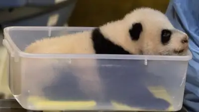 Zakon.kz, фото - Новости Zakon.kz от 23.08.2015 17:18