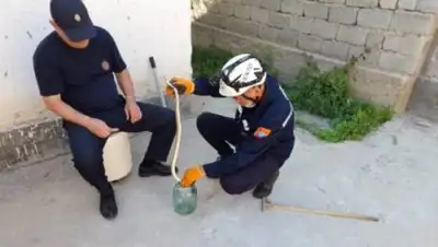 otyrar.kz, фото - Новости Zakon.kz от 31.05.2021 11:28