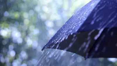 Zakon.kz, фото - Новости Zakon.kz от 19.07.2016 12:00