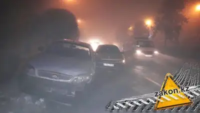 Zakon.kz, фото - Новости Zakon.kz от 11.02.2017 05:42