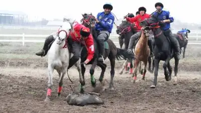 el.kz, фото - Новости Zakon.kz от 02.11.2020 13:08