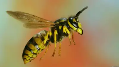 Zakon.kz, фото - Новости Zakon.kz от 29.05.2015 06:53