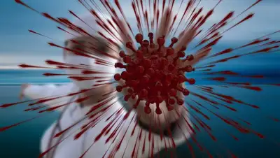 Pixabay, фото - Новости Zakon.kz от 24.08.2020 13:53