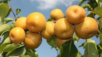 Zakon.kz, фото - Новости Zakon.kz от 05.08.2015 14:28