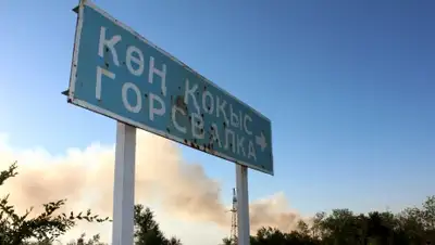 Zakon.kz, фото - Новости Zakon.kz от 24.11.2014 22:56