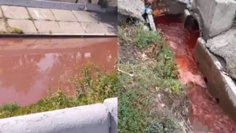 Эксперты взяли пробы красной воды в Алматы