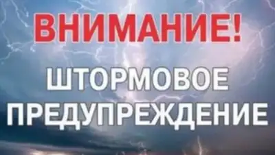 24.kz, фото - Новости Zakon.kz от 11.06.2020 17:07