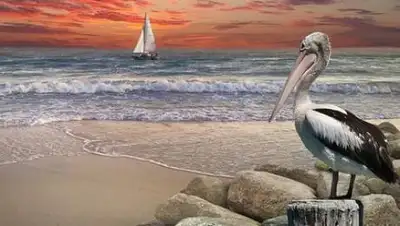 pixabay, фото - Новости Zakon.kz от 09.09.2021 07:12