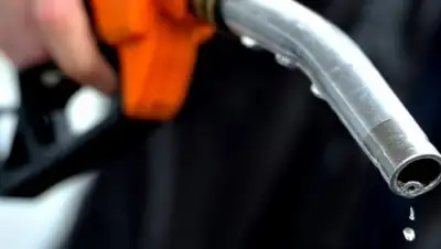 arnapress.kz, фото - Новости Zakon.kz от 03.07.2018 10:11