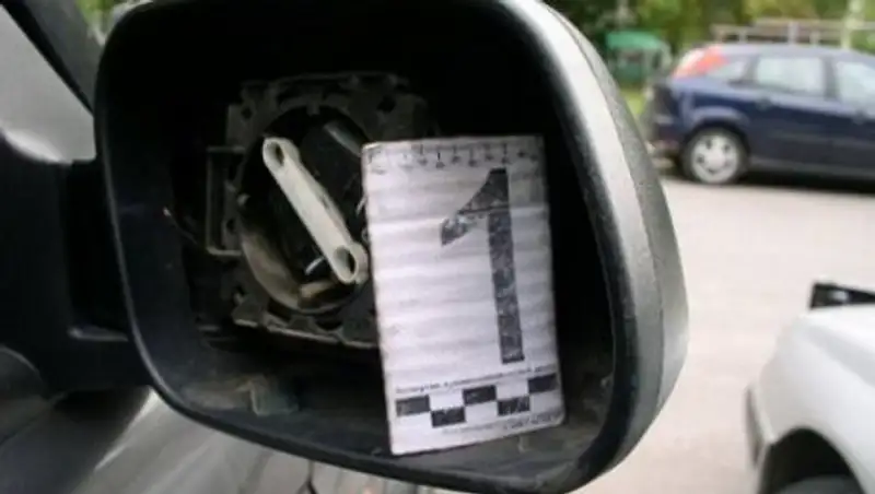 В Талдыкоргане поймали воров автозеркал, причастных более чем к 25 кражам