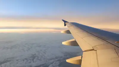 pexels.com, фото - Новости Zakon.kz от 14.08.2020 12:44