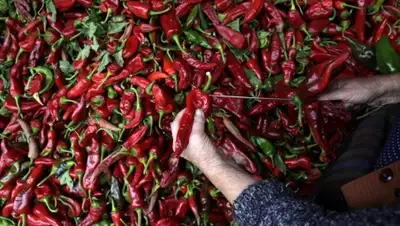 Zakon.kz, фото - Новости Zakon.kz от 11.09.2015 16:03