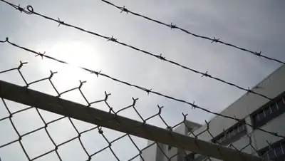 pixabay.com, фото - Новости Zakon.kz от 28.01.2019 15:44