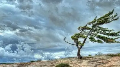 imperiya.by, фото - Новости Zakon.kz от 09.08.2018 18:31