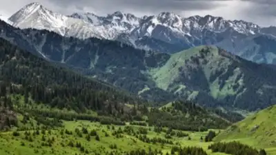 almaty.tv, фото - Новости Zakon.kz от 09.04.2019 10:54