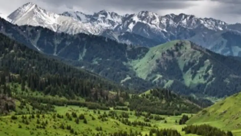 Почему Касым-Жомарт Токаев защитил Кок-Жайлау