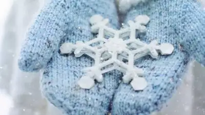 pxhere.com, фото - Новости Zakon.kz от 29.12.2020 16:55