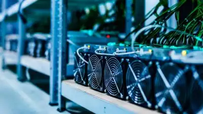 shutterstock.com, фото - Новости Zakon.kz от 27.10.2021 17:30