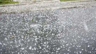 24.kz, фото - Новости Zakon.kz от 10.09.2019 18:18