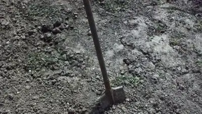 Zakon.kz, фото - Новости Zakon.kz от 06.08.2014 02:05